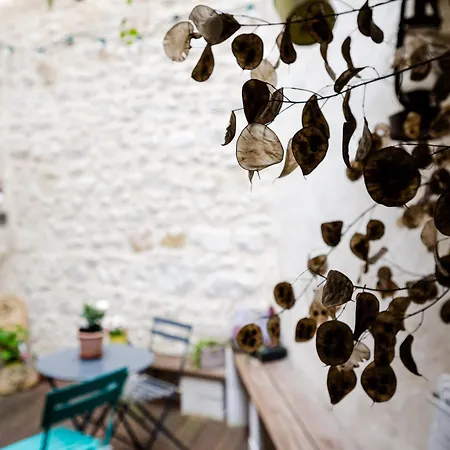 Tatil Evi Le Pied Du Geant Tournon-sur-Rhone